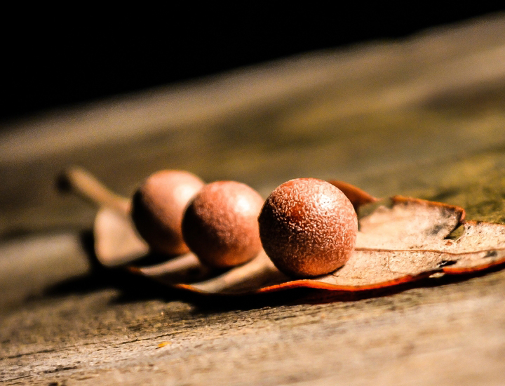 电话压力测试器